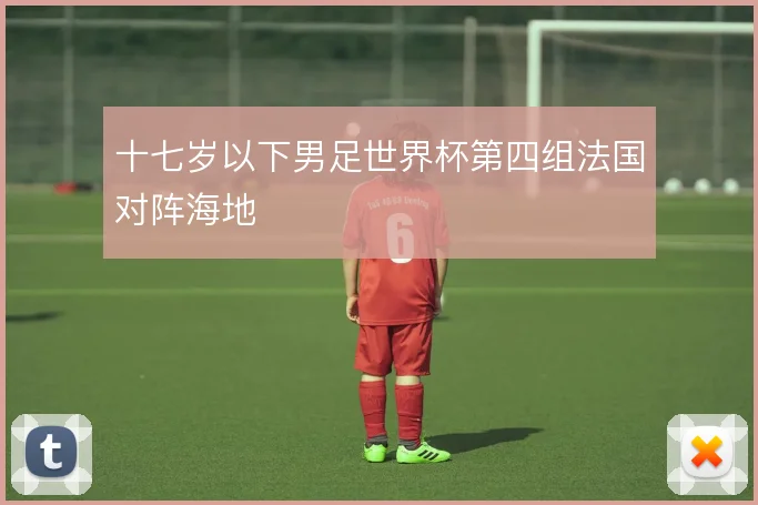 十七岁以下男足世界杯第四组法国对阵海地