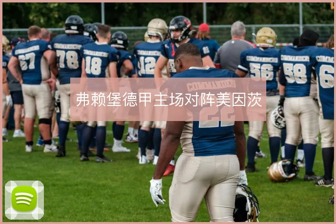 弗赖堡德甲主场对阵美因茨