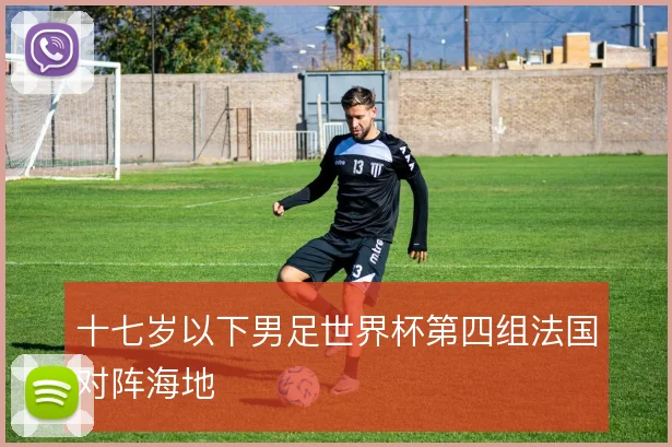 十七岁以下男足世界杯第四组法国对阵海地