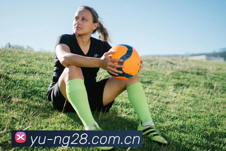 NG28APP 封面图